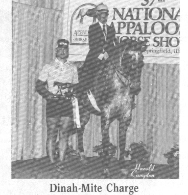 dinahmitecharge