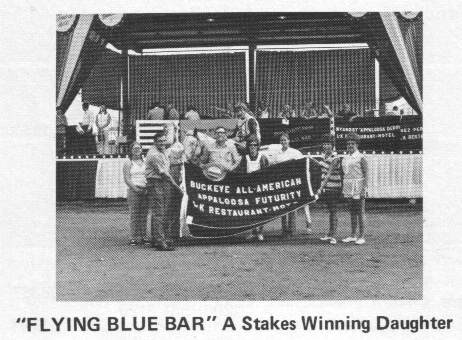 flyingbluebar