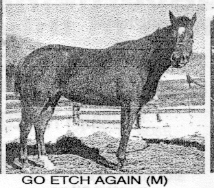 goetchagain