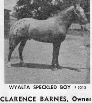wyaltaspeckelboy