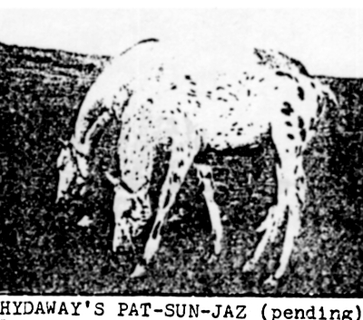 Hydaway's Pat Sun Jaz