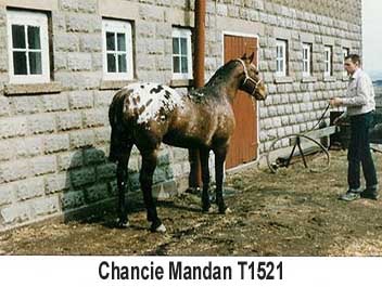 chanciemandant1521color