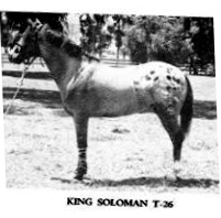 kingsolomont26