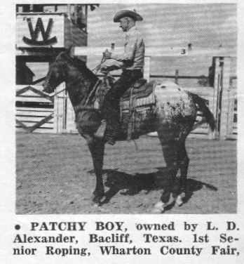 patchyboyt2185