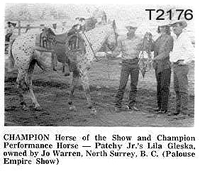 patchyjrslilagleskat2176f