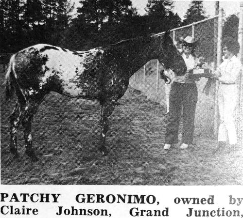 patchy geronimo