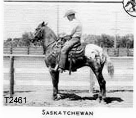 saskatchewant2461