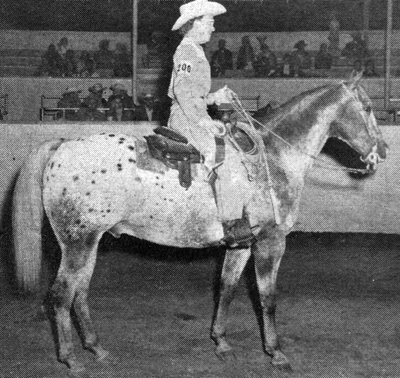 strattonspolkador2178