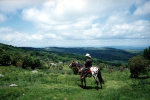 cherokeearrowhead2