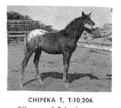 chipeka