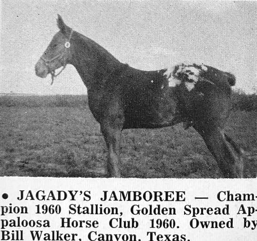 jagadys jamboree