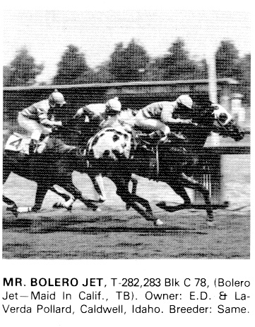 mr bolero jet