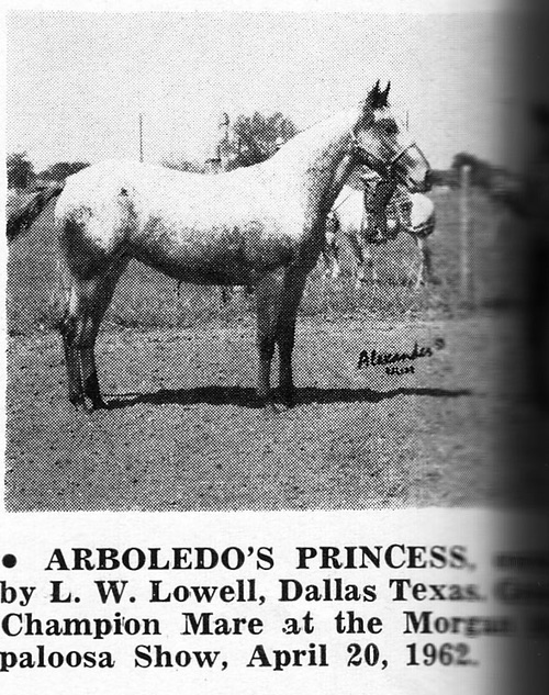 arboledosprincess