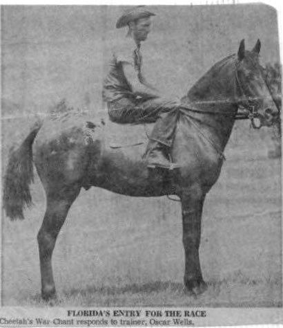 cheetahswarchant12525