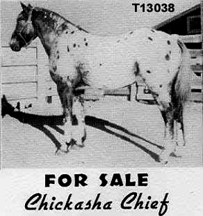 chickashachiefw