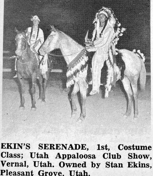 ekins serrenade
