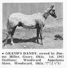 grandysdandy