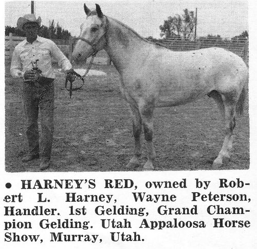 harneysredcloud