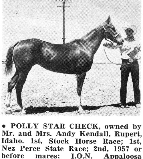 pollystarcheck