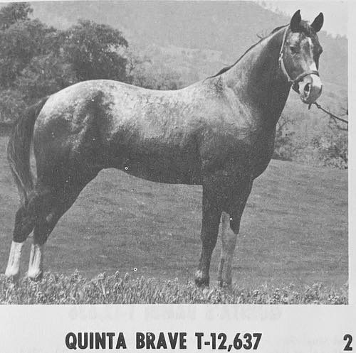 quinta brave.HEIC