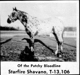 starfireshavano