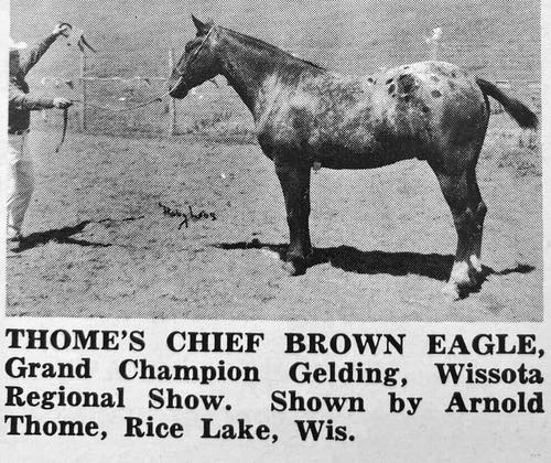 thomes chief brown eagle