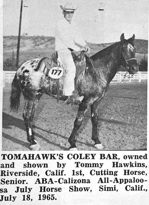 tomahawks coley bar
