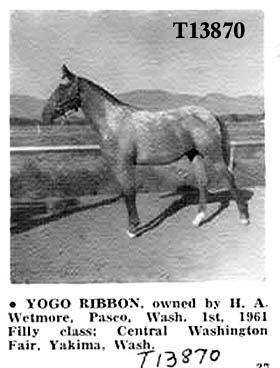 yogoribbon