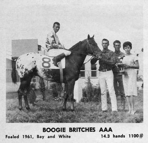 boogiebritches