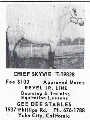 chiefskywie