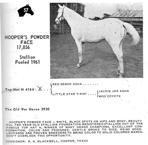 hooperspowderface17856