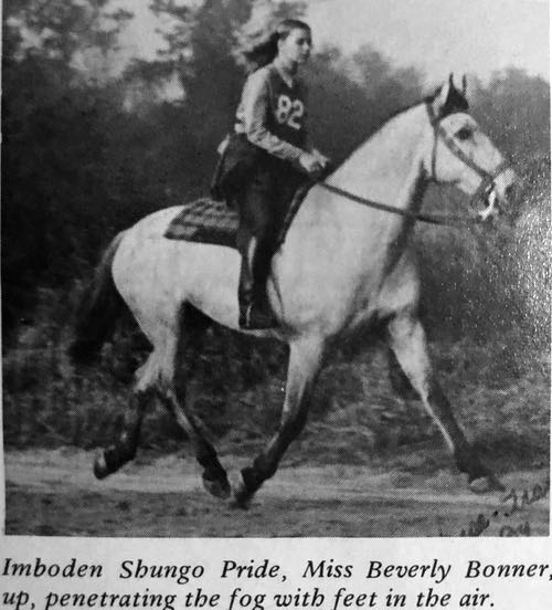 imboden shungo pride