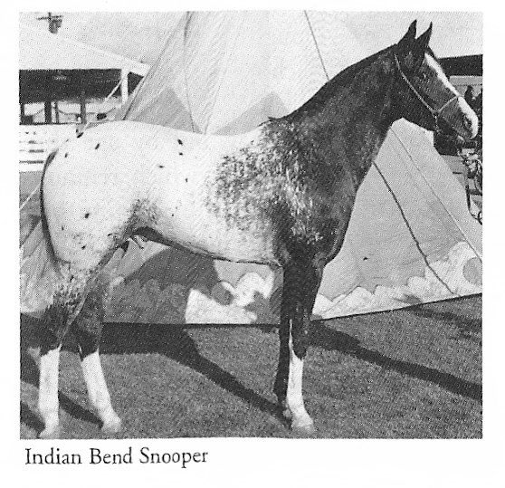 indianbendssnooper