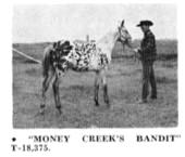 moneycreeksbandit18375a