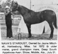 navas stardust