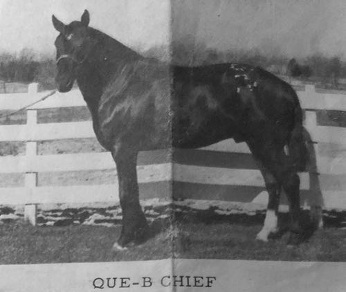 qbchief19792a