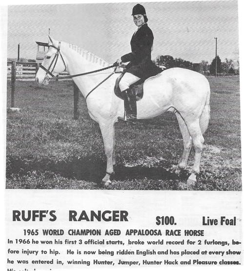 ruffsranger19377