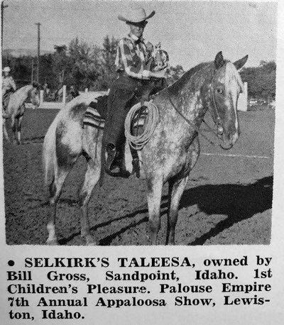 selkirk's taleesa