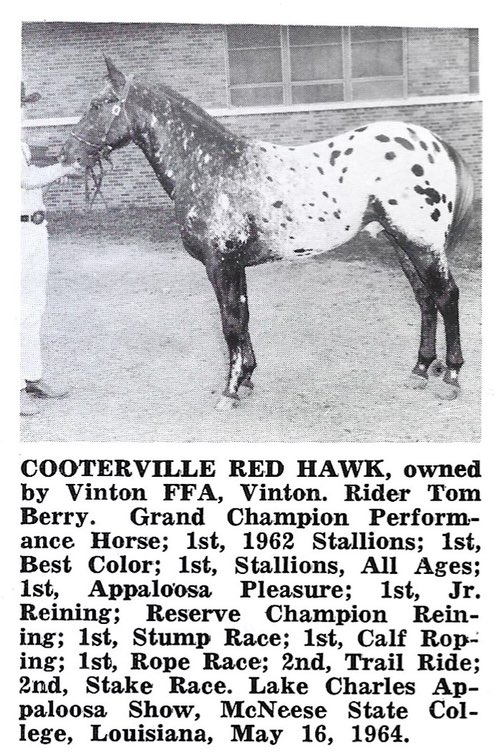 CootervilleRedhawk