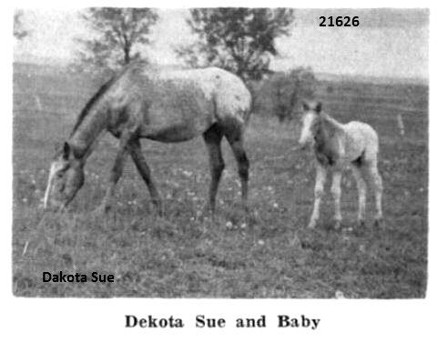 DakotaSue