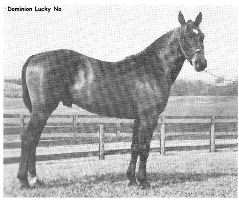 DominionLuckyNo