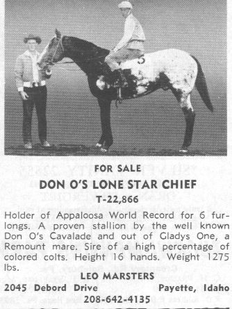 DonOsLoneStarChief