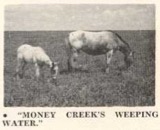 MoneyCreeksWeepingWater