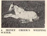 MoneyCreeksWeepingWater2