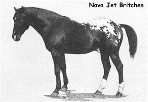 Nava Jet Britches