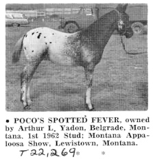 PocosSpottedFever