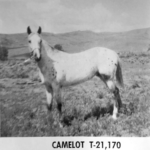 camelot