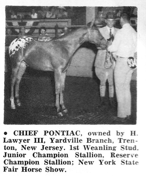 chiefpontiac