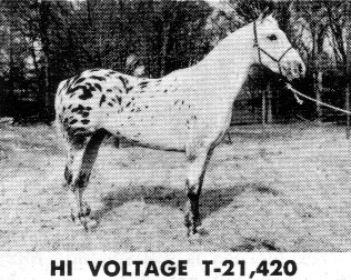 hivoltage