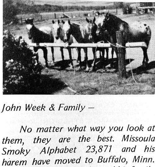 missoula smoky alphabet